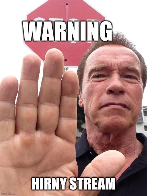 Arnold Schwarzenegger Stop | WARNING HIRNY STREAM | image tagged in arnold schwarzenegger stop | made w/ Imgflip meme maker