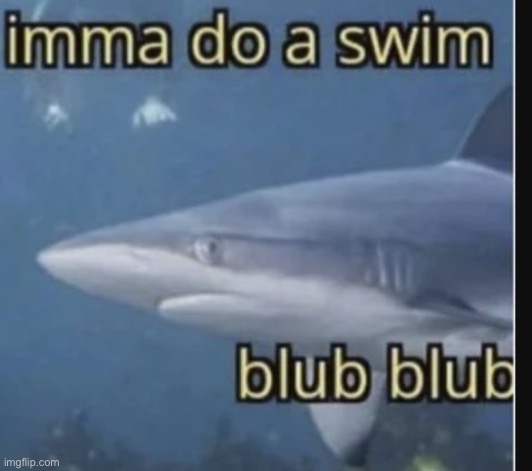 image tagged in memes | made w/ Imgflip meme maker