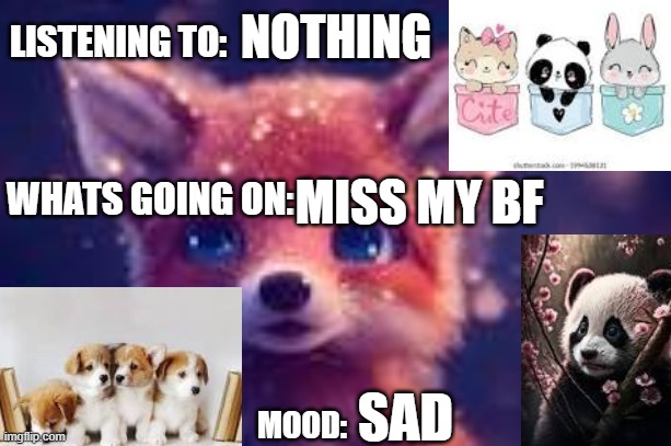 cute | NOTHING; MISS MY BF; SAD | image tagged in cute | made w/ Imgflip meme maker