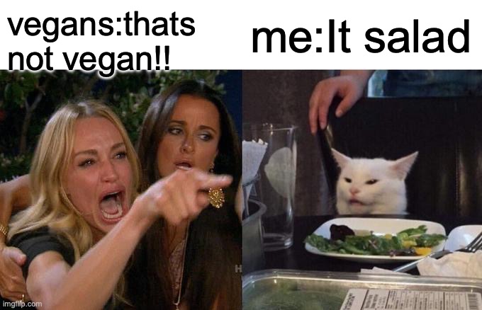 Woman Yelling At Cat | vegans:thats not vegan!! me:It salad | image tagged in memes,woman yelling at cat | made w/ Imgflip meme maker