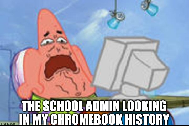 I hope they never do... | THE SCHOOL ADMIN LOOKING IN MY CHROMEBOOK HISTORY | image tagged in patrick disgusted | made w/ Imgflip meme maker