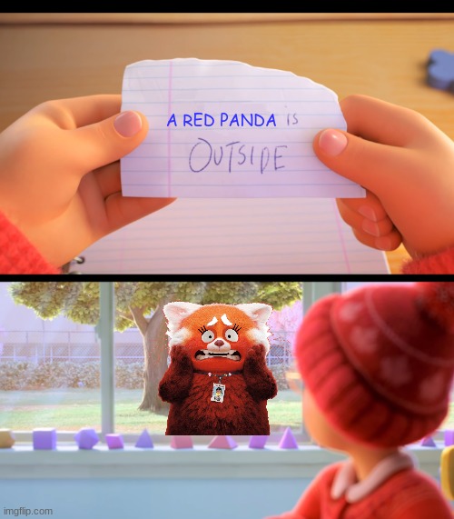 SHES GONNA BLOW!!!!!! | A RED PANDA | image tagged in x is outside | made w/ Imgflip meme maker