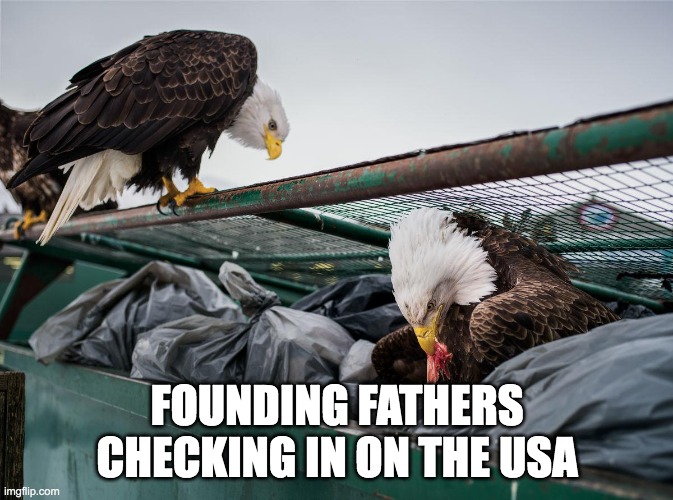 Founding Fathers Checking in on the USA | FOUNDING FATHERS CHECKING IN ON THE USA | image tagged in eagles,dumpster,usa | made w/ Imgflip meme maker
