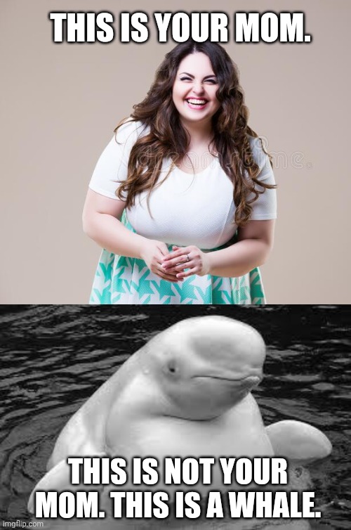 Difficult to learn facts. | THIS IS YOUR MOM. THIS IS NOT YOUR MOM. THIS IS A WHALE. | image tagged in whale,your mom | made w/ Imgflip meme maker