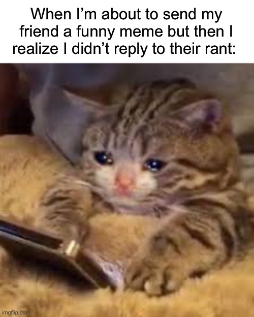 *sadness* | When I’m about to send my friend a funny meme but then I realize I didn’t reply to their rant: | image tagged in sad cat looking at phone,memes,funny,true story,relatable memes,sadness | made w/ Imgflip meme maker
