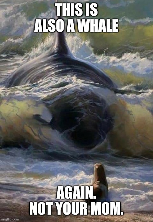 Important yourmom facts | THIS IS ALSO A WHALE; AGAIN. NOT YOUR MOM. | image tagged in killer whale eats seal,whale,facts,your mom | made w/ Imgflip meme maker
