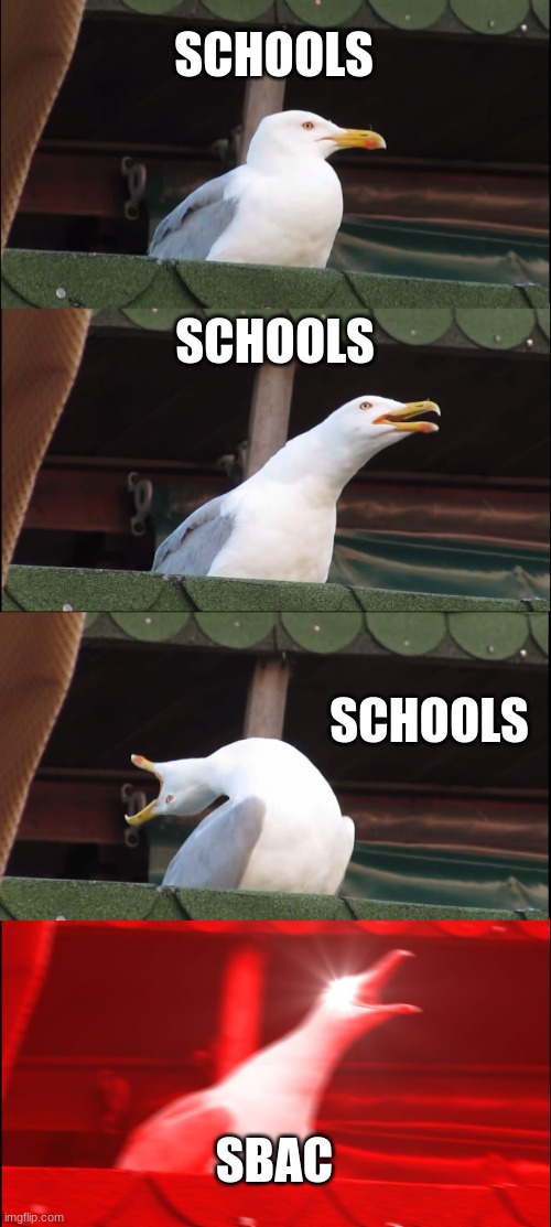 Inhaling Seagull | SCHOOLS; SCHOOLS; SCHOOLS; SBAC | image tagged in memes,inhaling seagull | made w/ Imgflip meme maker