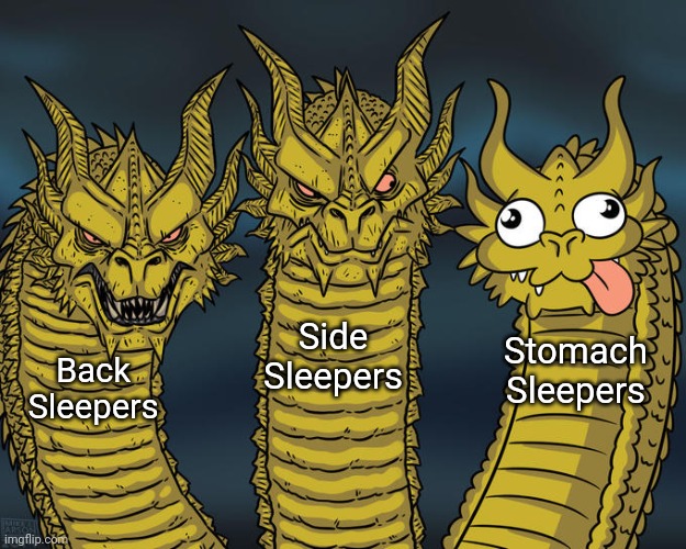 Three-headed Dragon | Side Sleepers; Stomach Sleepers; Back Sleepers | image tagged in three-headed dragon | made w/ Imgflip meme maker