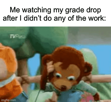 I hope none of you do this, I try not to | Me watching my grade drop after I didn’t do any of the work: | image tagged in gifs,memes,funny,relatable memes,school,true story | made w/ Imgflip video-to-gif maker