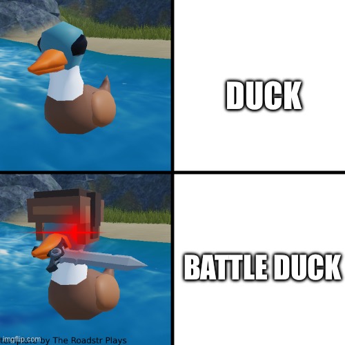 Angry Battle Duck | DUCK BATTLE DUCK | image tagged in angry battle duck | made w/ Imgflip meme maker