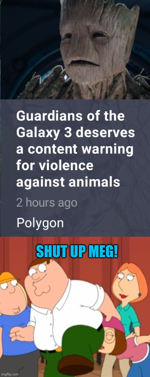 Shut up Polygon | SHUT UP MEG! | image tagged in shut up meg fart | made w/ Imgflip meme maker