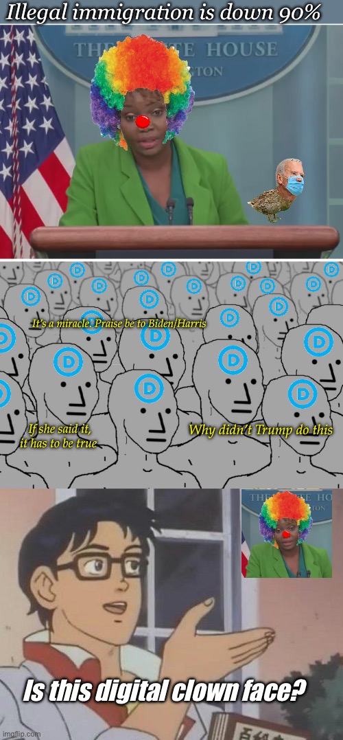 Great job. | Illegal immigration is down 90%; It’s a miracle. Praise be to Biden/Harris; Why didn’t Trump do this; If she said it, it has to be true; Is this digital clown face? | image tagged in npc democrats,memes,is this a pigeon,politics lol | made w/ Imgflip meme maker