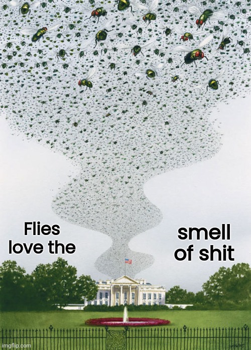 and the Plagues have begun | smell of shit; Flies love the | image tagged in politicians stink,lord of the flies,surprised joey,presidential alert,ew i stepped in shit,democrats | made w/ Imgflip meme maker