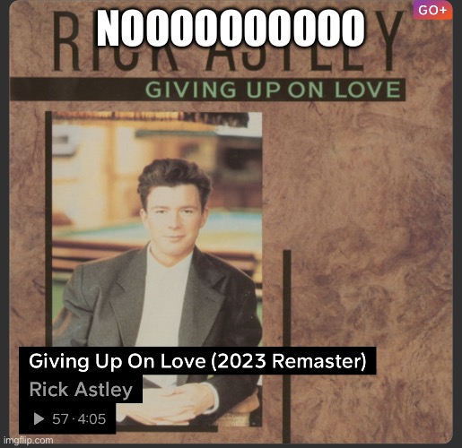 He gave up :( | NOOOOOOOOOO | image tagged in he gave up | made w/ Imgflip meme maker