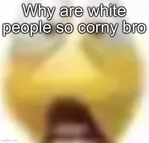 Shocked | Why are white people so corny bro | image tagged in shocked | made w/ Imgflip meme maker