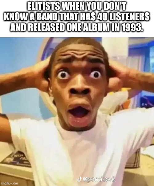 Shocked black guy | ELITISTS WHEN YOU DON'T KNOW A BAND THAT HAS 40 LISTENERS AND RELEASED ONE ALBUM IN 1993. | image tagged in shocked black guy | made w/ Imgflip meme maker