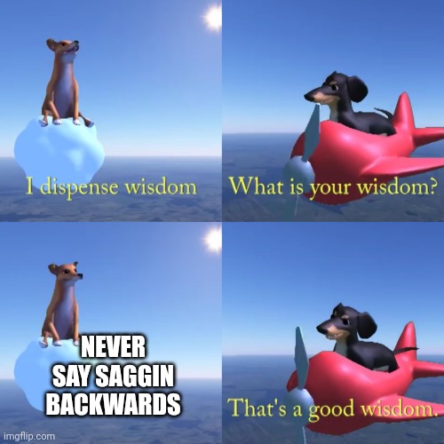 That's a good wisdom | NEVER SAY SAGGIN BACKWARDS | image tagged in that's a good wisdom | made w/ Imgflip meme maker