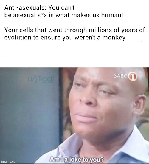 What actually makes you human | Anti-asexuals: You can't be asexual s*x is what makes us human!
.
Your cells that went through millions of years of evolution to ensure you weren't a monkey | image tagged in am i a joke to you | made w/ Imgflip meme maker