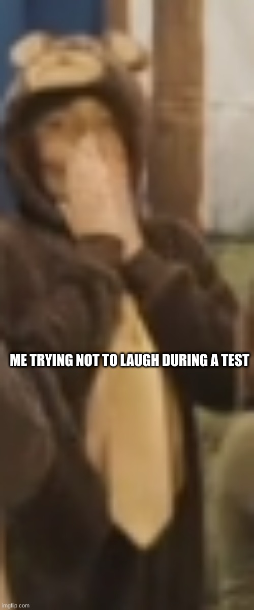 bear trying to hold it in | ME TRYING NOT TO LAUGH DURING A TEST | image tagged in funny | made w/ Imgflip meme maker