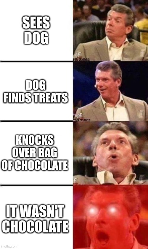 Doggos no urge? | SEES DOG; DOG FINDS TREATS; KNOCKS OVER BAG OF CHOCOLATE; IT WASN'T CHOCOLATE | image tagged in vince mcmahon reaction w/glowing eyes | made w/ Imgflip meme maker