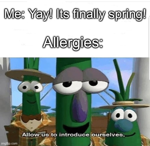 spring | Me: Yay! Its finally spring! Allergies: | image tagged in allow us to introduce ourselves,allergies,memes | made w/ Imgflip meme maker