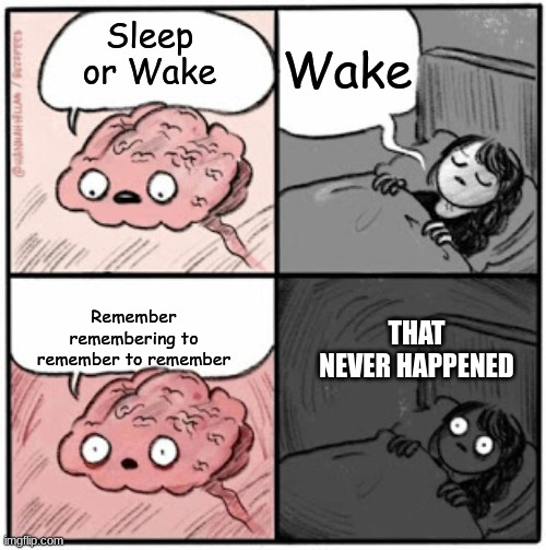 Brain Before Sleep | Wake; Sleep or Wake; Remember remembering to remember to remember; THAT NEVER HAPPENED | image tagged in brain before sleep | made w/ Imgflip meme maker