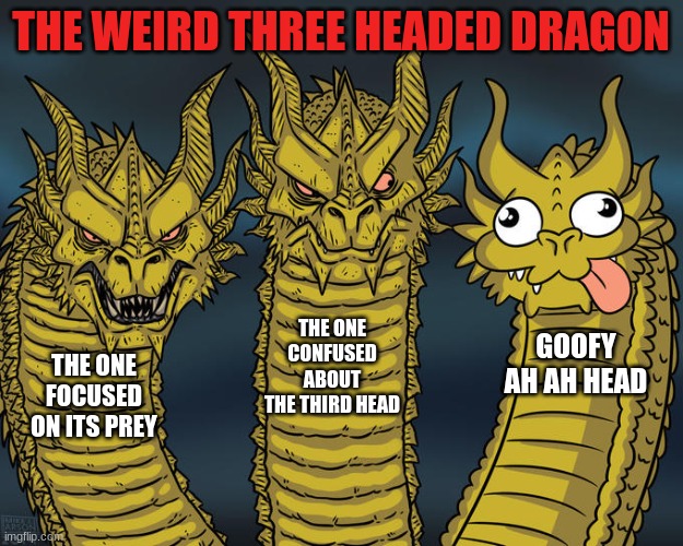 dragon | THE WEIRD THREE HEADED DRAGON; THE ONE CONFUSED ABOUT THE THIRD HEAD; GOOFY AH AH HEAD; THE ONE FOCUSED ON ITS PREY | image tagged in three-headed dragon | made w/ Imgflip meme maker