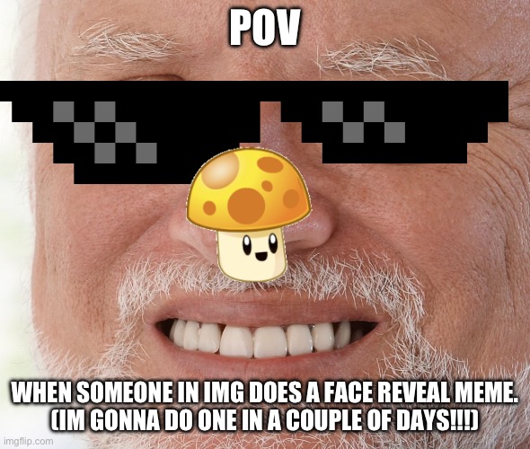Hopefully I can do it ? | POV; WHEN SOMEONE IN IMG DOES A FACE REVEAL MEME.

(IM GONNA DO ONE IN A COUPLE OF DAYS!!!) | image tagged in hide the pain harold | made w/ Imgflip meme maker