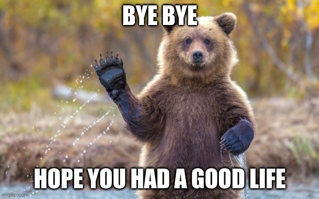 bye bye bear | BYE BYE; HOPE YOU HAD A GOOD LIFE | image tagged in bye bye bear | made w/ Imgflip meme maker