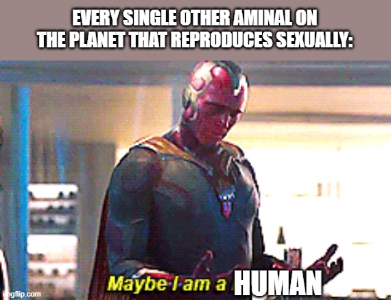 Maybe I am a monster | EVERY SINGLE OTHER AMINAL ON THE PLANET THAT REPRODUCES SEXUALLY: HUMAN | image tagged in maybe i am a monster | made w/ Imgflip meme maker