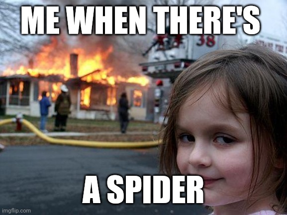 Disaster Girl | ME WHEN THERE'S; A SPIDER | image tagged in memes,disaster girl | made w/ Imgflip meme maker