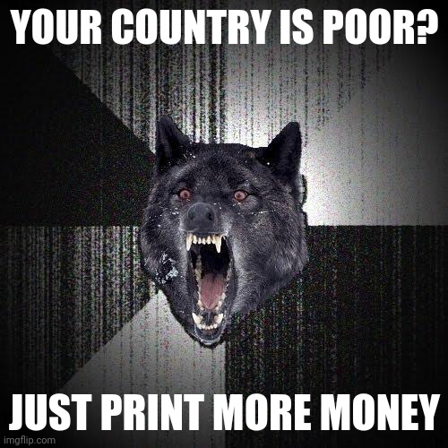 Definitely won't damage the economy | YOUR COUNTRY IS POOR? JUST PRINT MORE MONEY | image tagged in memes,insanity wolf | made w/ Imgflip meme maker