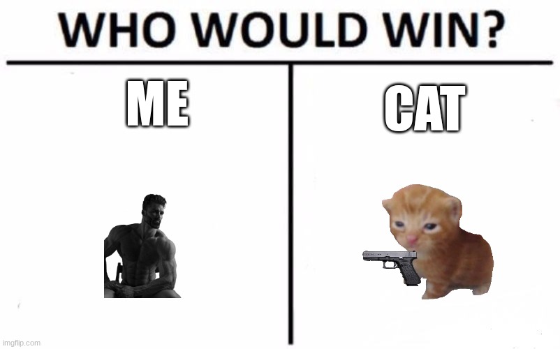 Who Would Win? | ME; CAT | image tagged in memes,who would win | made w/ Imgflip meme maker