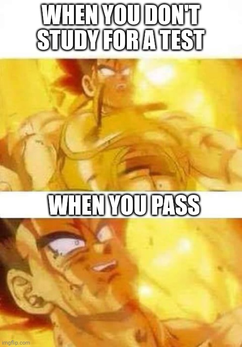 Anybody relate to this? | WHEN YOU DON'T STUDY FOR A TEST; WHEN YOU PASS | image tagged in dbz | made w/ Imgflip meme maker