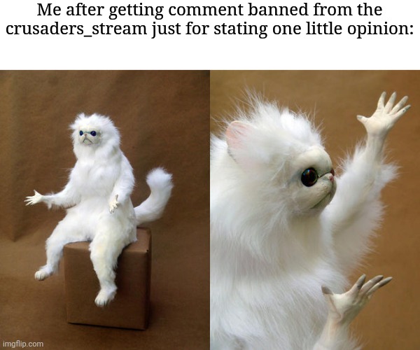 Welp- | Me after getting comment banned from the crusaders_stream just for stating one little opinion: | image tagged in memes,persian cat room guardian | made w/ Imgflip meme maker