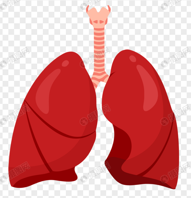 High Quality lungs png Blank Meme Template