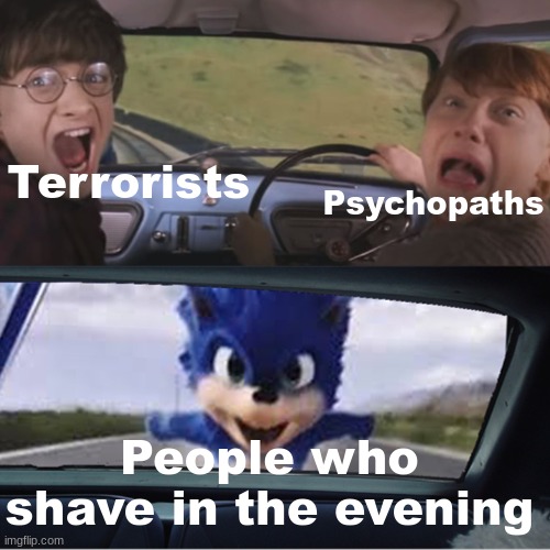 Sonic Chasing Harry and Ron | Terrorists; Psychopaths; People who shave in the evening | image tagged in sonic chasing harry and ron,shaving | made w/ Imgflip meme maker