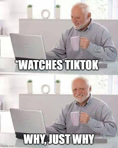 *pain intensifies | *WATCHES TIKTOK; WHY, JUST WHY | image tagged in memes,hide the pain harold | made w/ Imgflip meme maker