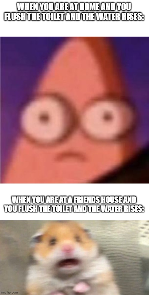 new level of scared unlocked | WHEN YOU ARE AT HOME AND YOU FLUSH THE TOILET AND THE WATER RISES:; WHEN YOU ARE AT A FRIENDS HOUSE AND YOU FLUSH THE TOILET AND THE WATER RISES: | image tagged in eyes wide patrick,screaming hampster | made w/ Imgflip meme maker