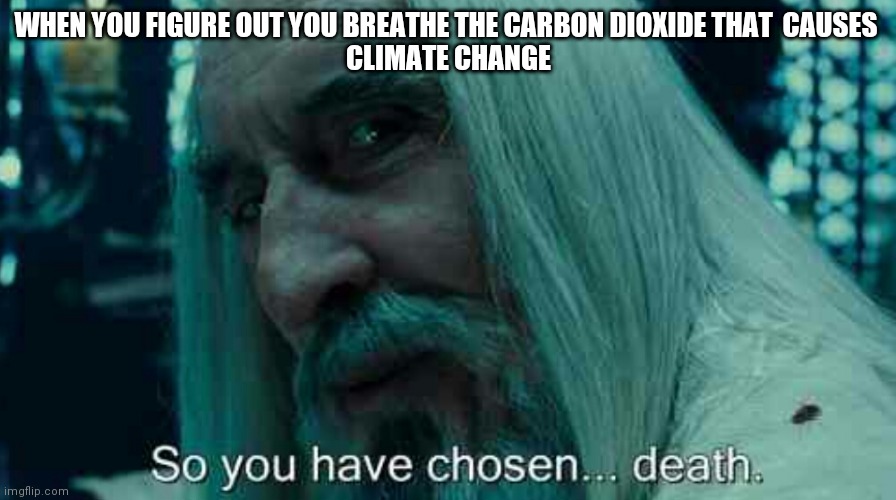 So you have chosen death | WHEN YOU FIGURE OUT YOU BREATHE THE CARBON DIOXIDE THAT  CAUSES 
CLIMATE CHANGE | image tagged in so you have chosen death | made w/ Imgflip meme maker