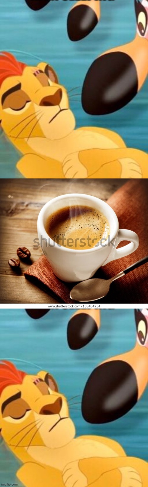 image tagged in kion sleeping for no reason,coffee | made w/ Imgflip meme maker