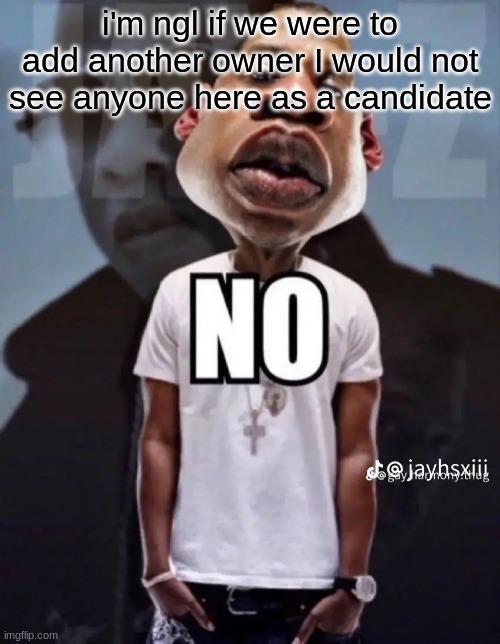 No | i'm ngl if we were to add another owner I would not see anyone here as a candidate | image tagged in no | made w/ Imgflip meme maker