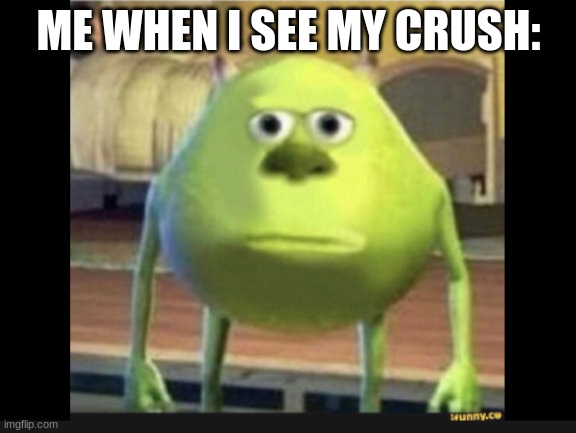 Me when I see my crush | ME WHEN I SEE MY CRUSH: | image tagged in me when i see my crush | made w/ Imgflip meme maker