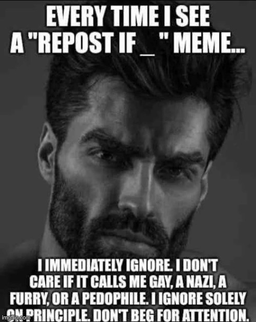 Every time I see a repost if meme | image tagged in every time i see a repost if meme | made w/ Imgflip meme maker