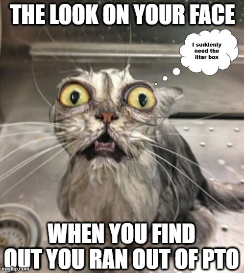 PTO'D | THE LOOK ON YOUR FACE; WHEN YOU FIND OUT YOU RAN OUT OF PTO | image tagged in pto,you took too much,you had one job | made w/ Imgflip meme maker