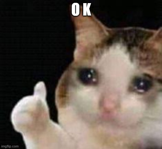 Approved crying cat | O K | image tagged in approved crying cat | made w/ Imgflip meme maker