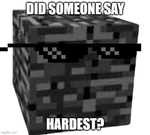 minecraft bedrock | DID SOMEONE SAY HARDEST? | image tagged in minecraft bedrock | made w/ Imgflip meme maker