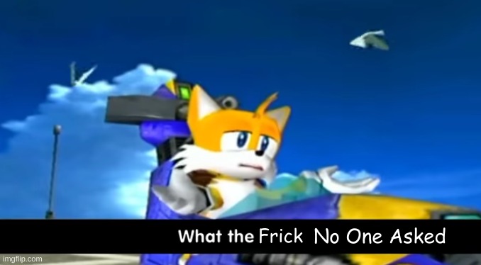 tails wtf | Frick No One Asked | image tagged in tails wtf | made w/ Imgflip meme maker