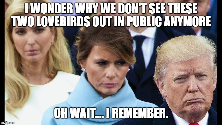 Melania | I WONDER WHY WE DON'T SEE THESE TWO LOVEBIRDS OUT IN PUBLIC ANYMORE; OH WAIT.... I REMEMBER. | image tagged in melania | made w/ Imgflip meme maker