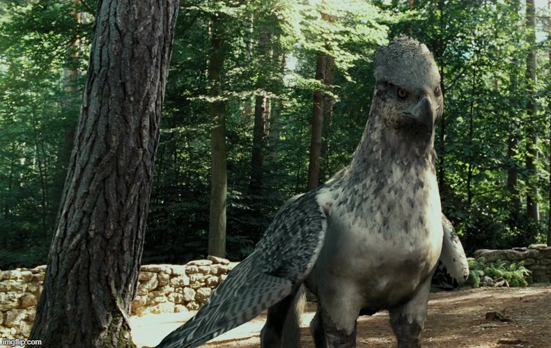 Wise Buckbeak | image tagged in wise buckbeak | made w/ Imgflip meme maker